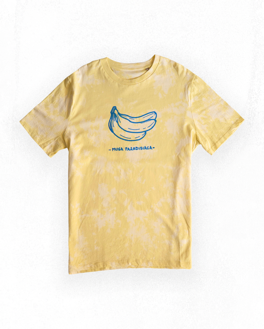 Musa Paradisiaca Azul